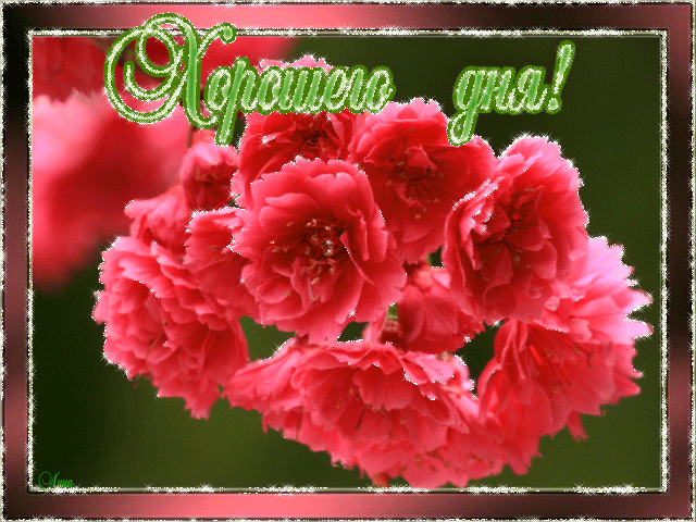 Открытки с пожеланиями хорошего дня. Скачать бесплатно открытки удачного дня.