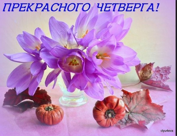 Анимационные открытки доброго утра и отличного четверга скачать бесплатно.