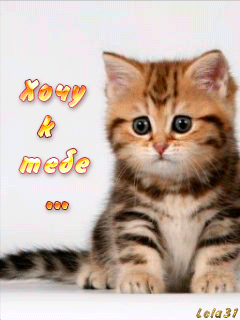 Анимационные открытки хочу к тебе. Мерцающие картинки хочу к тебе.