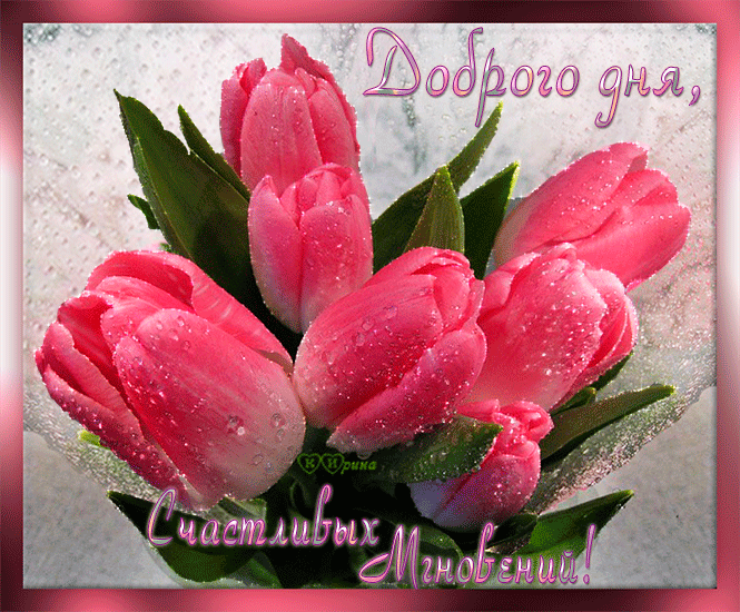 Скачать бесплатные открытки желаю счастья. Открытки желаю счастья с анимациями.