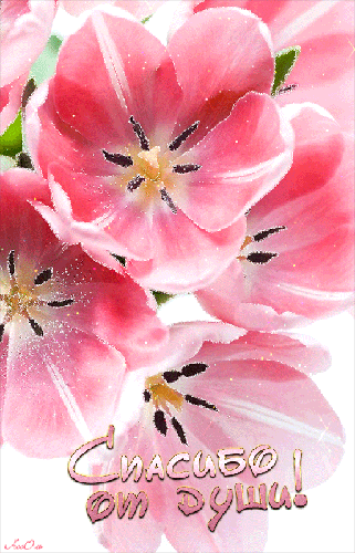 Анимационные открытки с благодарностью. Открытки спасибо скачать бесплатно.