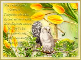 Красивые открытки для любимых друзей. Открытки о дружбе скачать бесплатно.