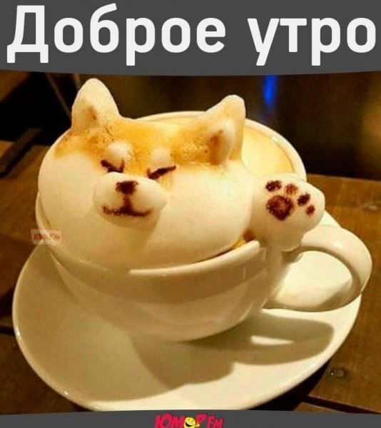 Открытка с пожеланиями доброго утра на каждый день скачать бесплатно 