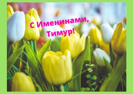 Открытки с именем Тима. С днём рождения Тимур открытки. Поздравительные Откры...