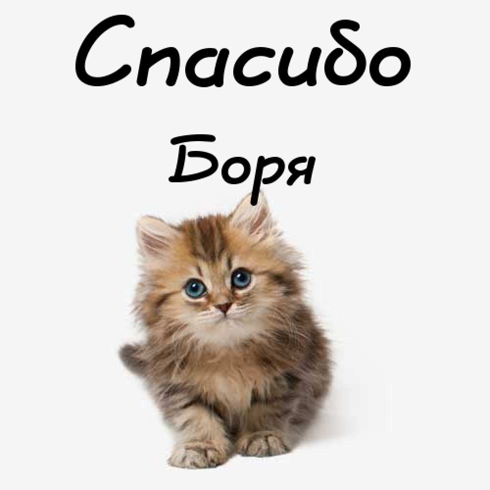 Открытки с днём рождения Борис. Красивые открытки с мужскими именами.