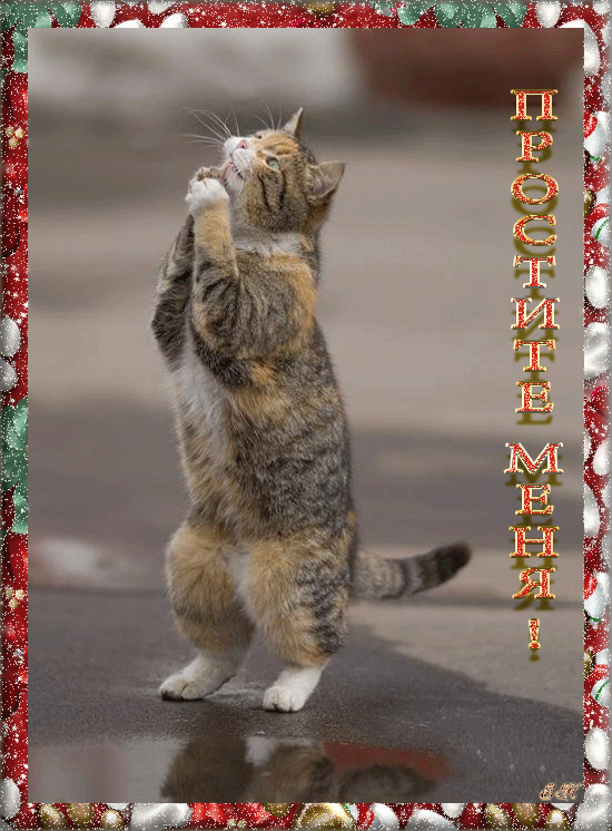 Электронные открытки давай помиримся скачать бесплатно.     