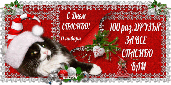 Благодарственные открытки на день спасибо скачать бесплатно.