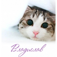 Поздравительные открытки с мужскими именами. Открытки с именем Владислав скач...