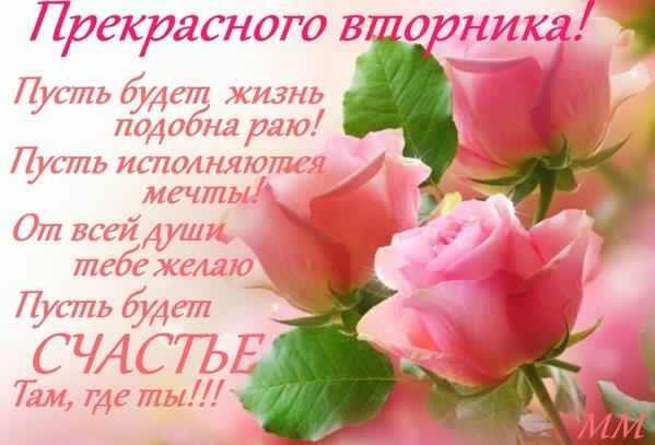 Позитивные открытки на вторник. Картинки про вторник скачать бесплатно.