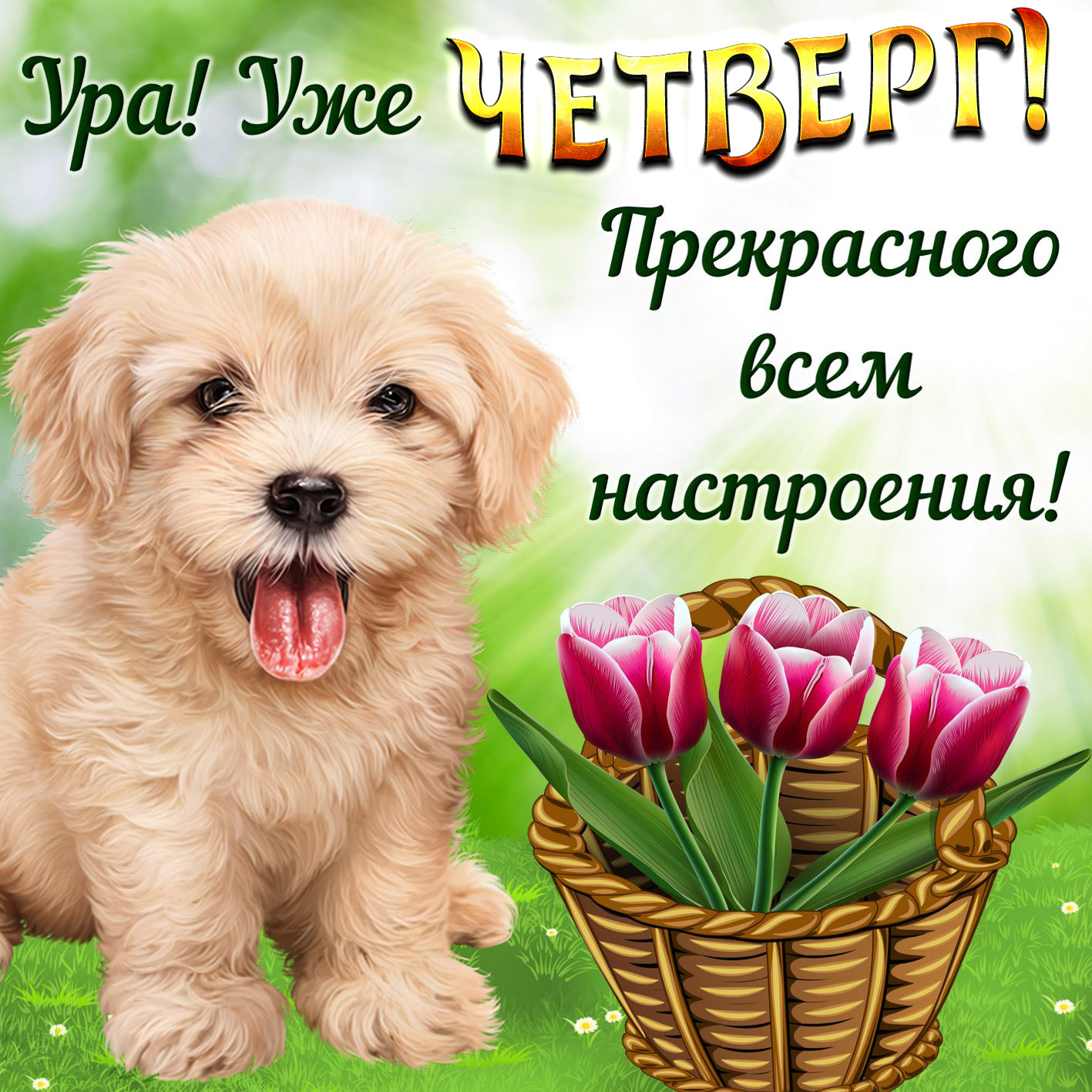 Открытки отличного четверга скачать бесплатно. Прикольные открытки на четверг...