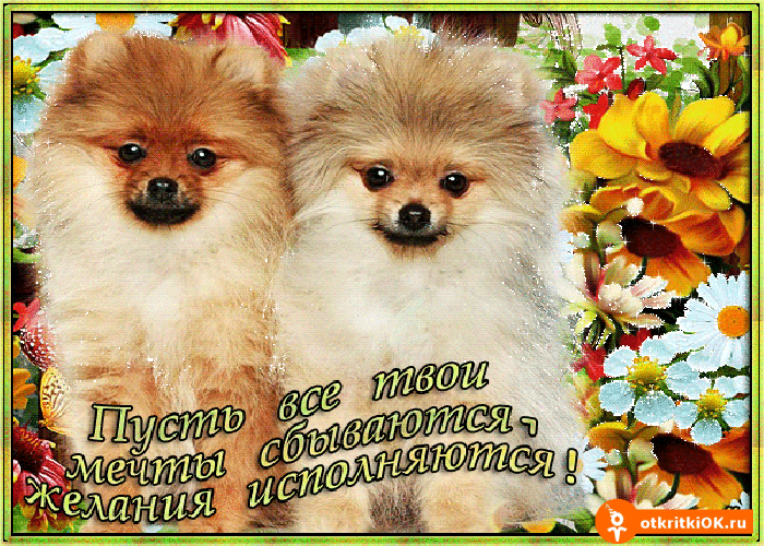 Открытки с пожеланиями исполнения желаний. Открытки пусть сбудутся мечты.