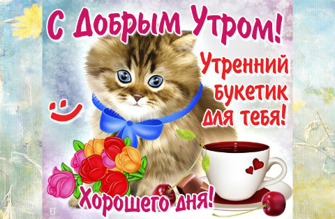 Открытка с пожеланиями доброго утра на каждый день скачать бесплатно 