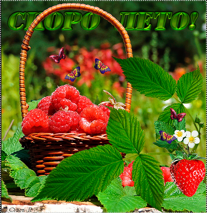 Открытки на тему лета скачать бесплатно. Анимационные открытки про лето.