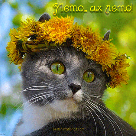 Открытки на тему осени скачать бесплатно. Анимационные открытки про лето.