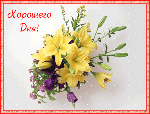 Открытки с пожеланиями хорошего дня. Скачать бесплатно открытки удачного дня.