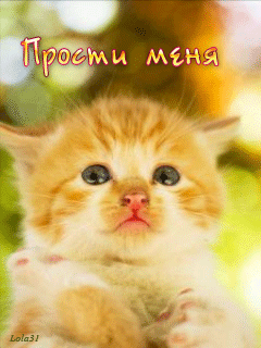 Красивые открытки с извинениями скачать бесплатно. Открытки прости меня gif.