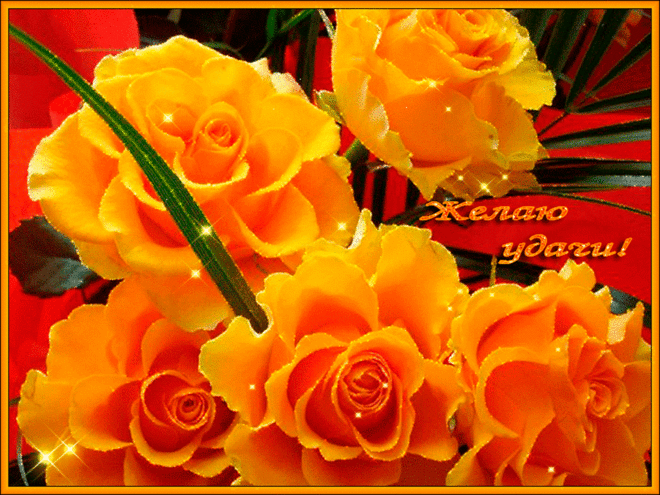 Открытки желаю удачи скачать бесплатно. Красивые открытки с пожеланиями удачи.