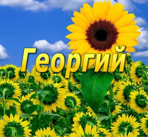 Анимационные открытки с именем Георгий. Скачать открытки с мужскими именами gif.