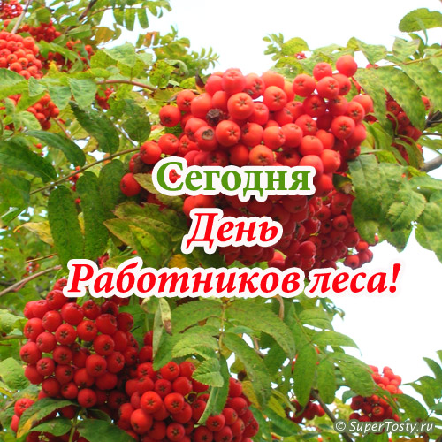 Открытки с днём работника леса с поздравлениями. Красивые открытки на день ле...