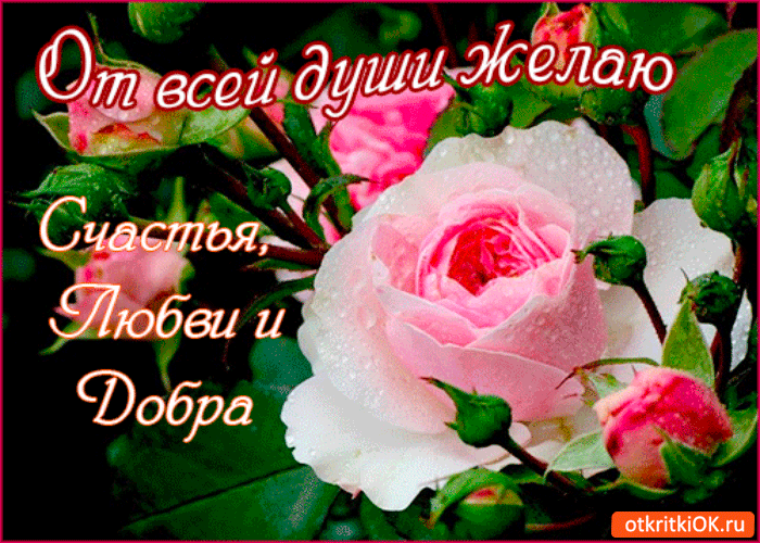 Скачать бесплатные открытки желаю счастья. Открытки желаю счастья с анимациями.