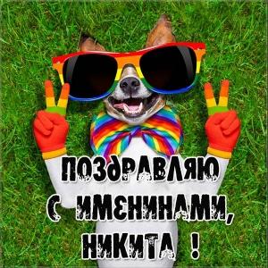 Поздравительные открытки с именем Никита. Красивые открытки с именем Никита. 