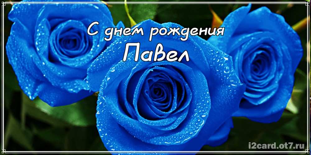 Анимационные открытки с именем Павел. Открытки с именем Паша. С днём рождения...