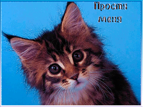 Красивые открытки с извинениями скачать бесплатно. Открытки прости меня gif.