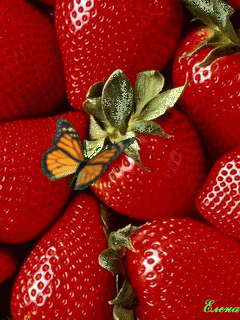 Мерцающие открытки с бабочками. Открытки с красивыми бабочками скачать беспла...