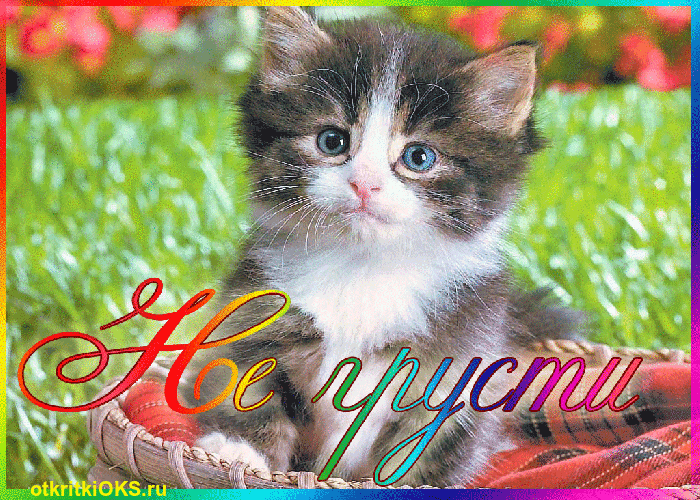 Мерцающие открытки с пожеланиями не грустить. Открытки не грусти скачать бесплатно.