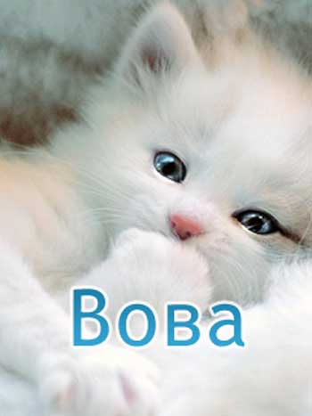 Открытки с именем Владимир скачать бесплатно. Открытки с мужскими именами онл...