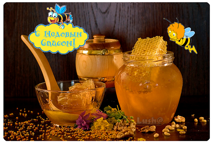 Открытки с медовым спасом скачать бесплатно. Праздничные открытки с медовым спасом.