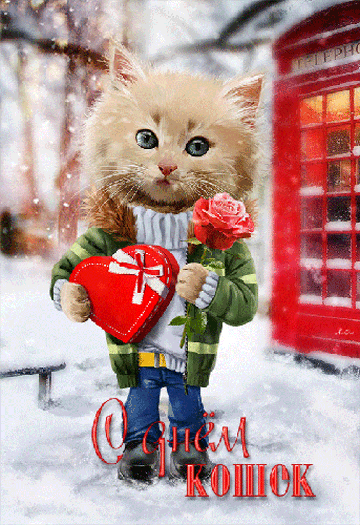 Скачать бесплатно прикольные открытки с днем кошек. Открытки с днем кошек gif.