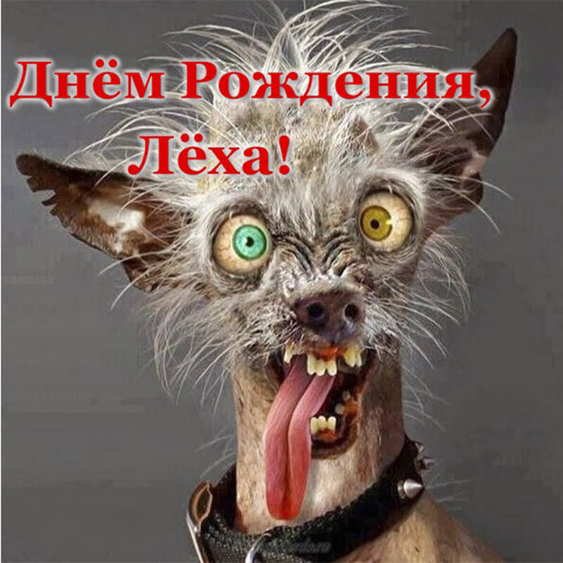 Открытки с именем Алексей скачать бесплатно. Открытки с именем Леша.