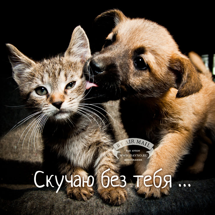 Анимационные открытки скучаю по тебе. Открытки я так скучаю скачать бесплатно.