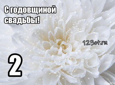 Анимационные поздравления на на Бумажную свадьбу 2 года. Поздравительные карт...