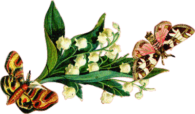 Мерцающие открытки с бабочками. Открытки с красивыми бабочками скачать беспла...