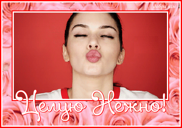 Оригинальные открытки с надписью целую. Открытки с поцелуями на любой вкус.