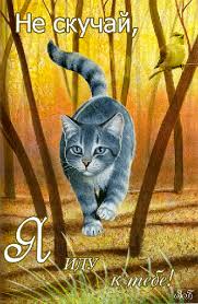 Веселые открытки с приколами не скучай скачать бесплатно.    
