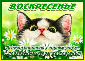 Мерцающие открытки про воскресенье. Открытки на воскресное утро.