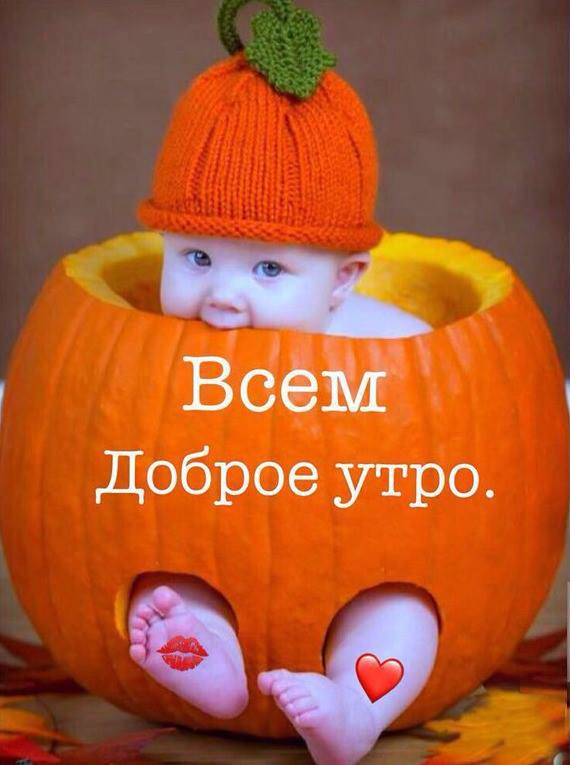 Открытка с пожеланиями доброго утра на каждый день скачать бесплатно 