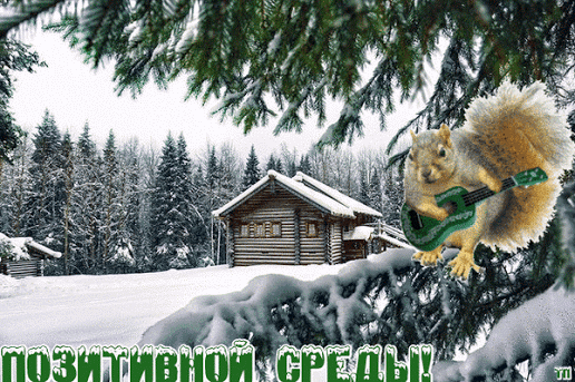 Открытки с пожеланиями отличной среды. Красивые открытки на среду.