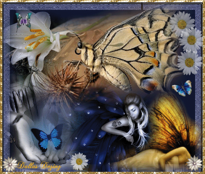 Спящие ночью бабочки. Спокойной ночи бабочки. Красивые открытки с бабочками. Сказочная ночь. Спокойных снов с бабочками.