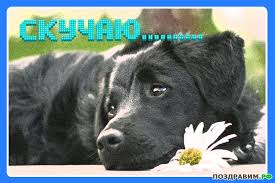 Анимационные открытки скучаю по тебе. Открытки я так скучаю скачать бесплатно.