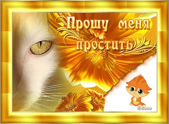 Красивые открытки с извинениями скачать бесплатно. Открытки прости меня gif.