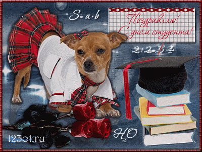 Анимационные открытки с днем студента с наилучшими пожеланиями скачать беспла...