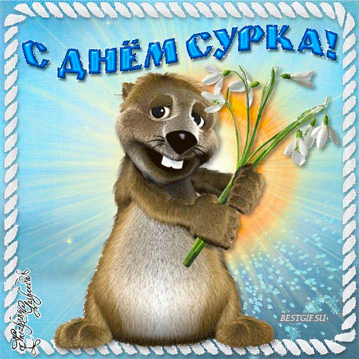 Веселые открытки с приколами на день сурка скачать бесплатно