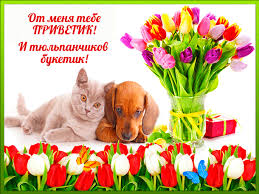 Красивые анимационные открытки с различными приветствиями скачать бесплатно.