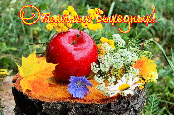 Красивые открытки замечательных выходных. Открытки хороших выходных скачать б...