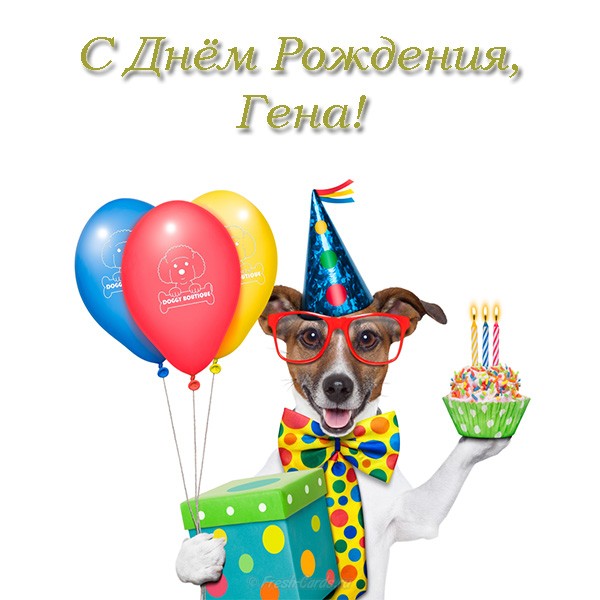 Открытки с днём рождения Гена. Открытки с именем Геннадий скачать бесплатно.