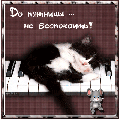 Прикольные открытки на пятницу. Открытки с пожеланиями на пятницу скачать бес...